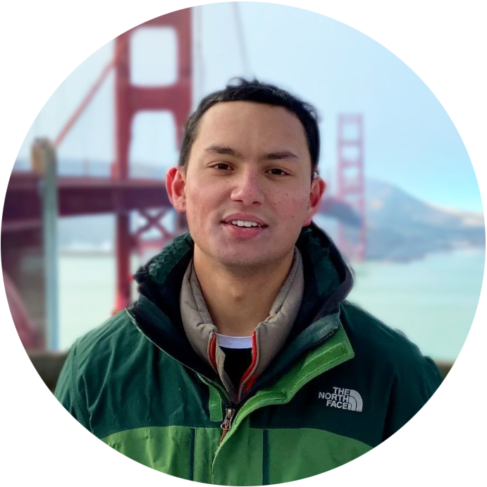 Louis Knight-Webb - AI Expert Advisor